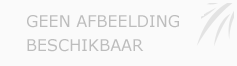 Afbeelding › Tuinen Desomer